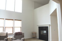 Living room with fireplace